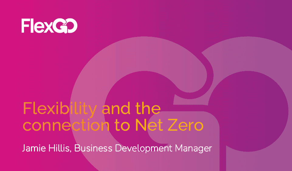 Flexibility and Connection with Net Zero