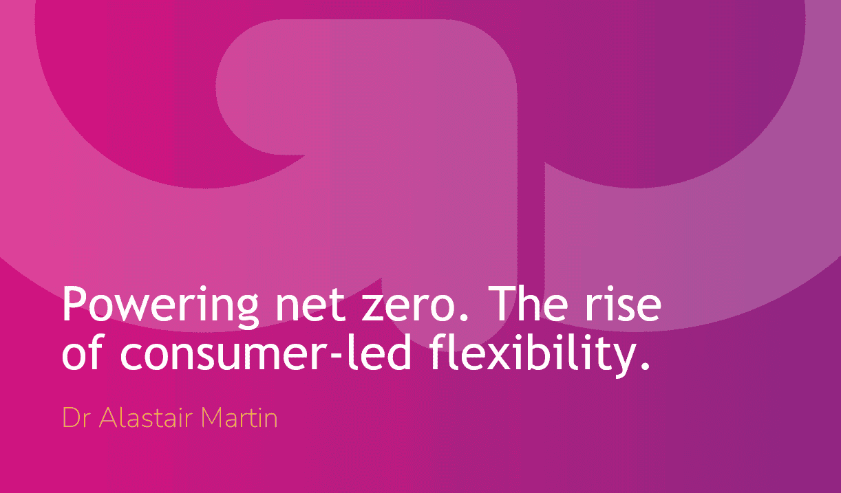 Powering Net Zero: FlexGO and the Rise of Consumer-Led Flexibility