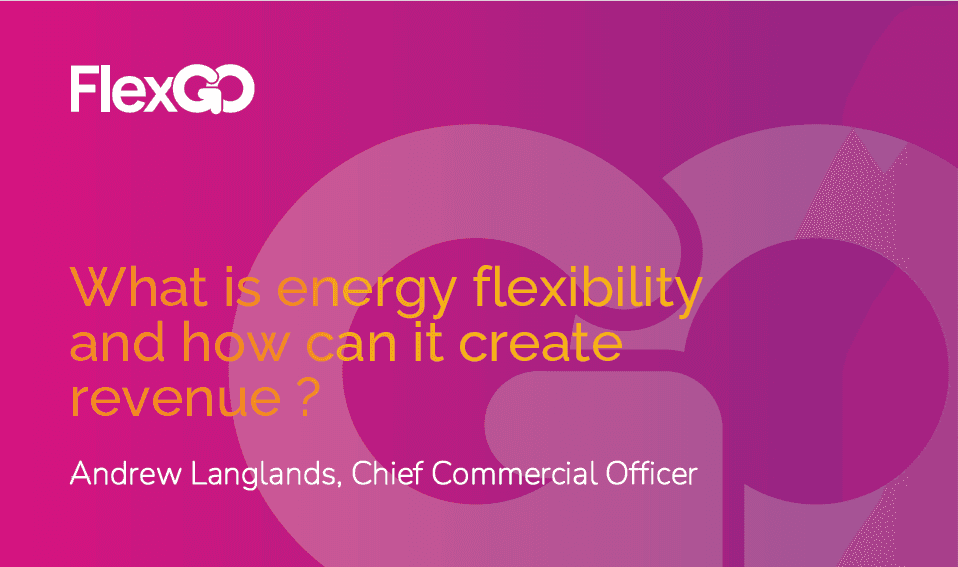 What is energy flexibility and how can it create revenue